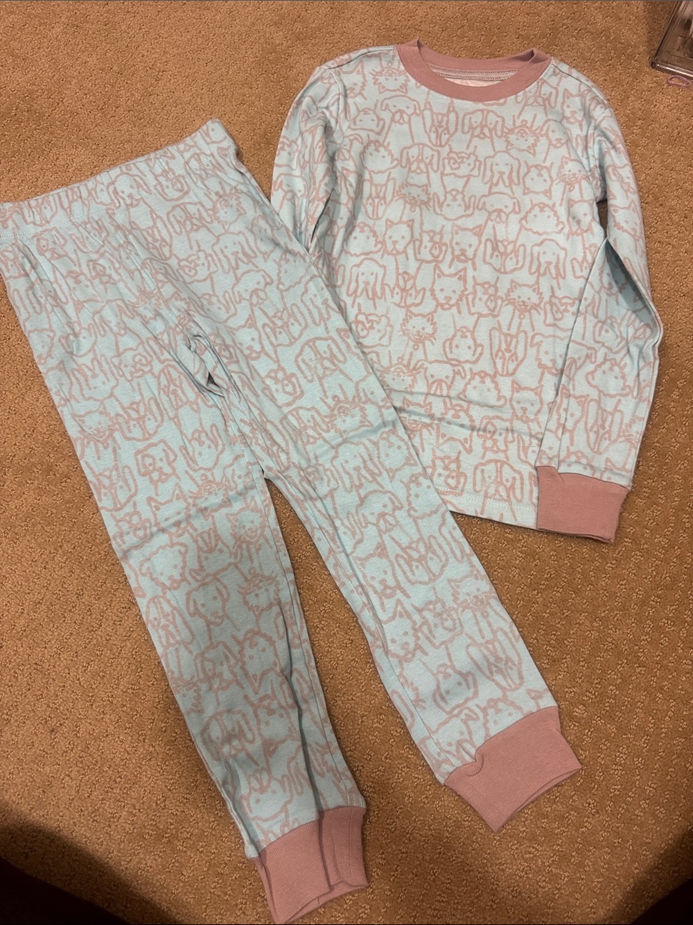 Kids Mint and Pink Puppy-Print Pajama Set